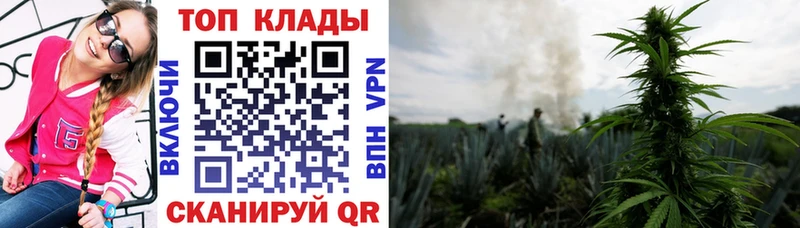 Как найти наркотики Киселёвск Конопля  МЕФ 