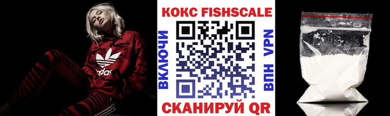 как найти   Киселёвск  Кокаин Fish Scale 