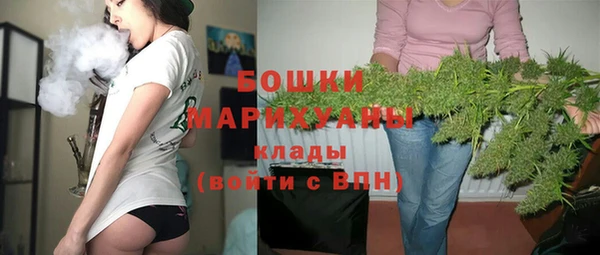 стаф Ельня