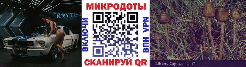 купить закладку  ссылка на мегу как зайти  Псилоцибиновые грибы ЛСД  Киселёвск 