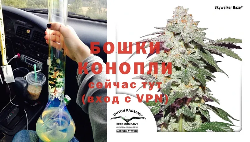 Бошки марихуана OG Kush  Киселёвск 